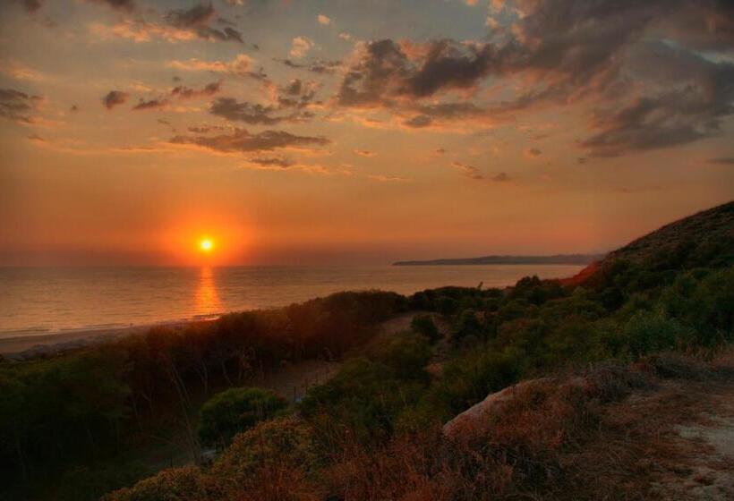 Aljama   Downtown B&b