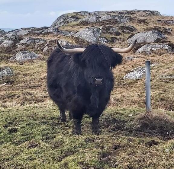 בית מלון כפרי Doune Braes