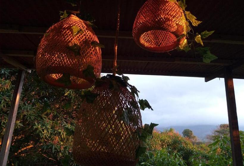 تختخواب و صبحانه Posada Villa Margarita