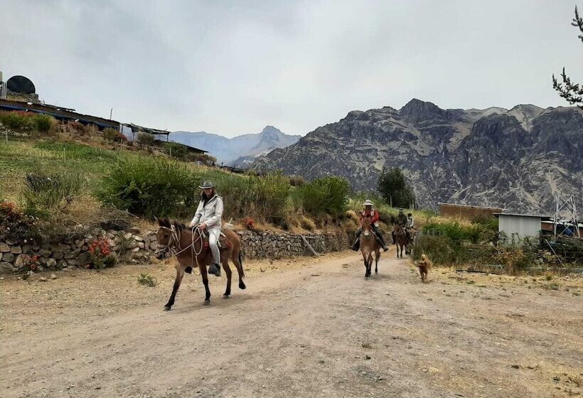 فندق La Granja Del Colca