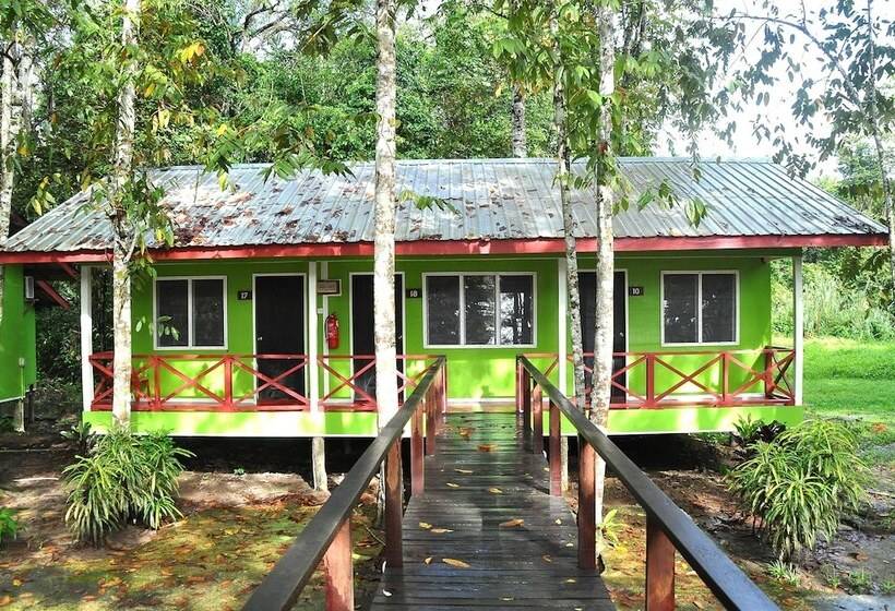 هتل Sukau Greenview Bed & Breakfast
