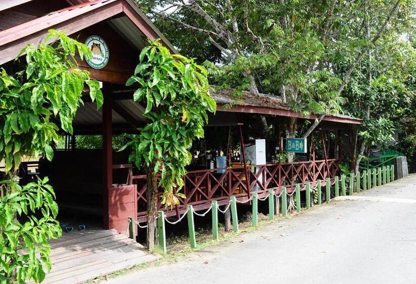هتل Sukau Greenview Bed & Breakfast