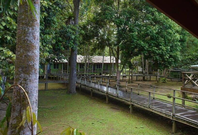 هتل Sukau Greenview Bed & Breakfast
