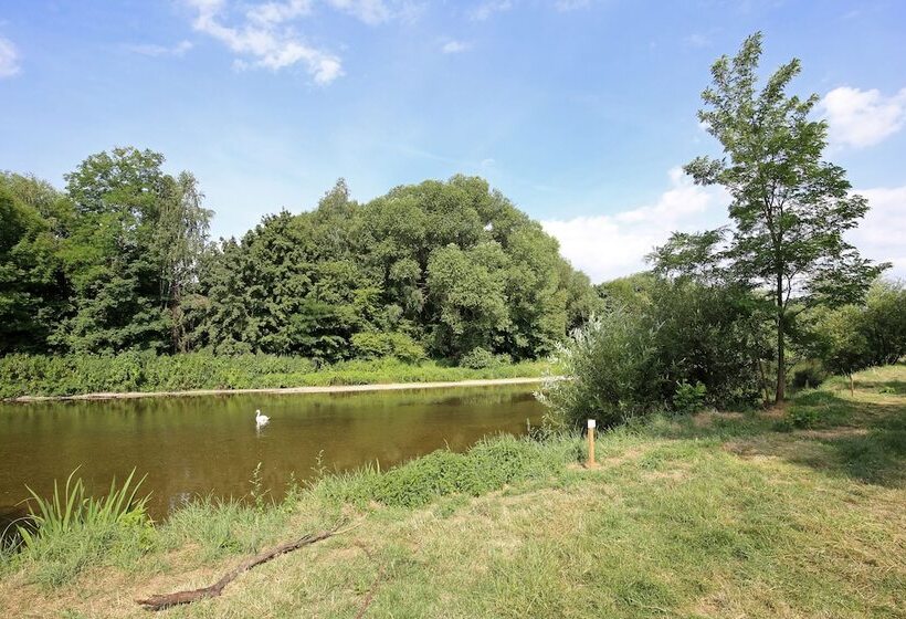 فندق Camping De L Ill Colmar