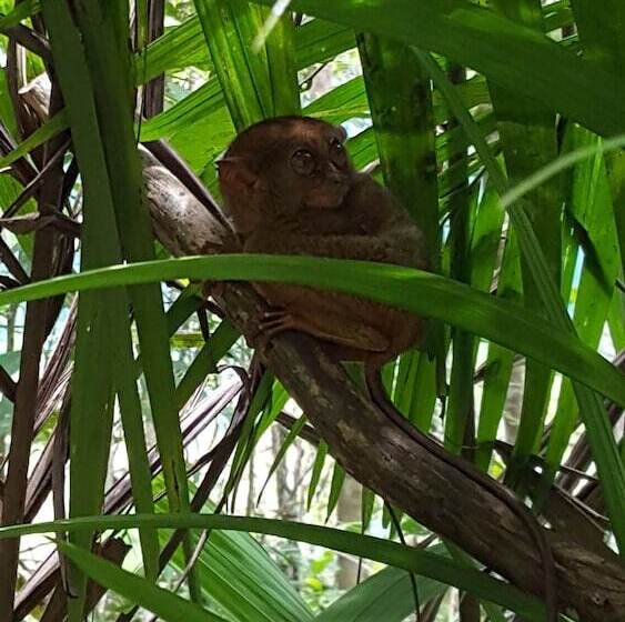 酒店 Citadel Alona Inn