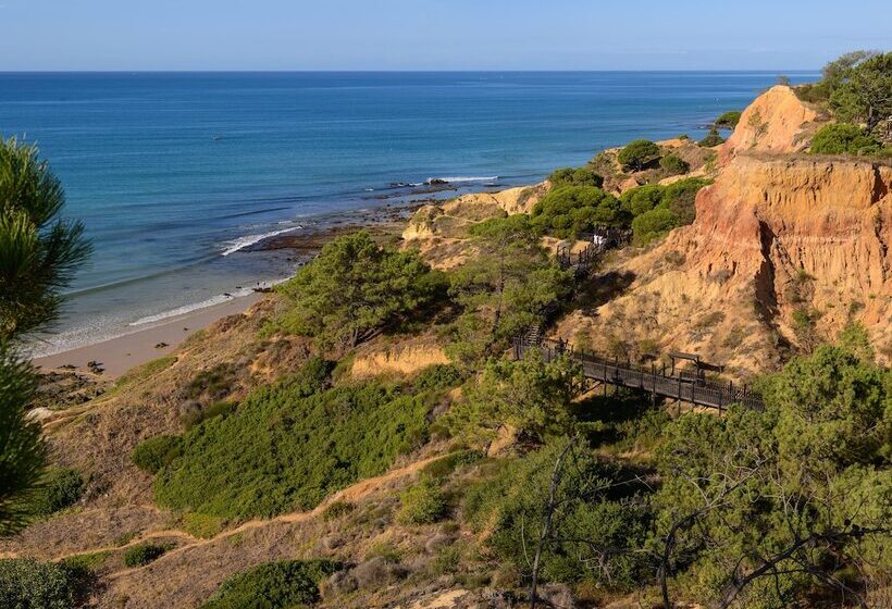 3hb Falesia Beach