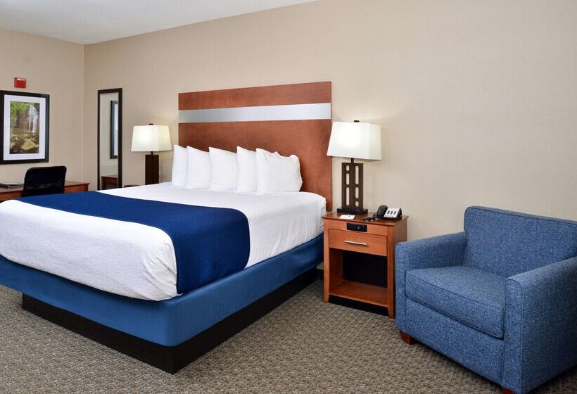 ホテル Best Western Big Spring Lodge