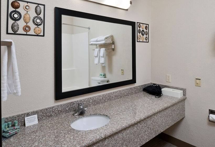 ホテル Best Western Big Spring Lodge