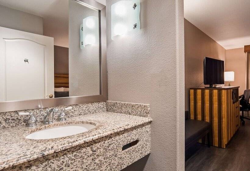 Отель Best Western Cedar Inn & Suites