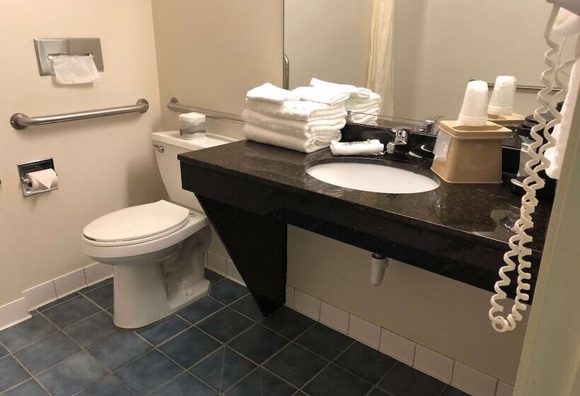 هتل Best Western Clearlake Plaza