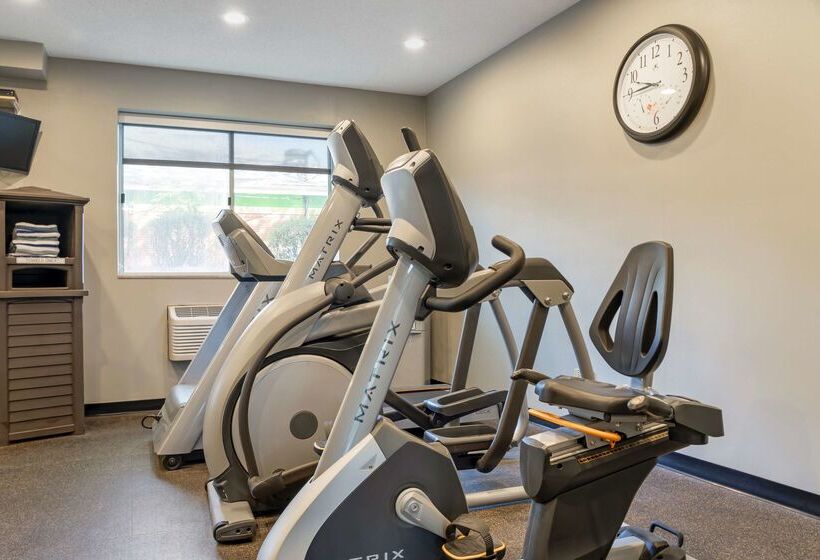 בית מלון כפרי Best Western Des Plaines Inn
