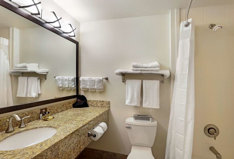 فندق Best Western Plus Castle Rock