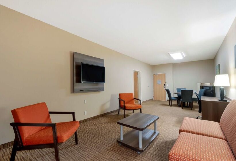 هتل Best Western Plus Dfw Airport Suites