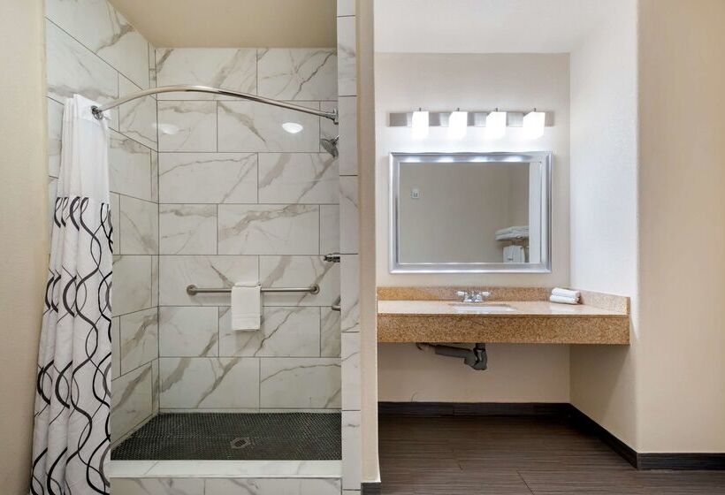 هتل Best Western Plus Dfw Airport Suites