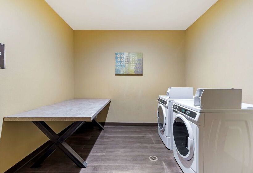 هتل Best Western Plus Dfw Airport Suites