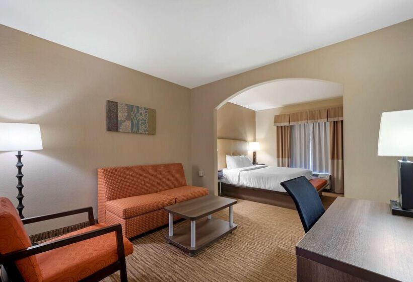 هتل Best Western Plus Dfw Airport Suites