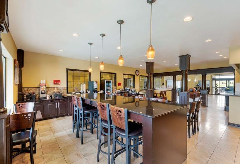 هتل Best Western Plus Dfw Airport Suites