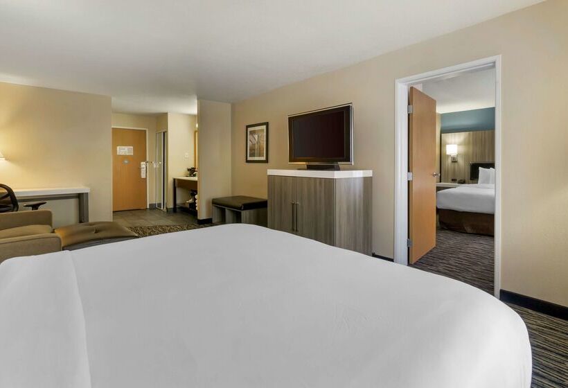 فندق Best Western Plus Mountain View Auburn Inn