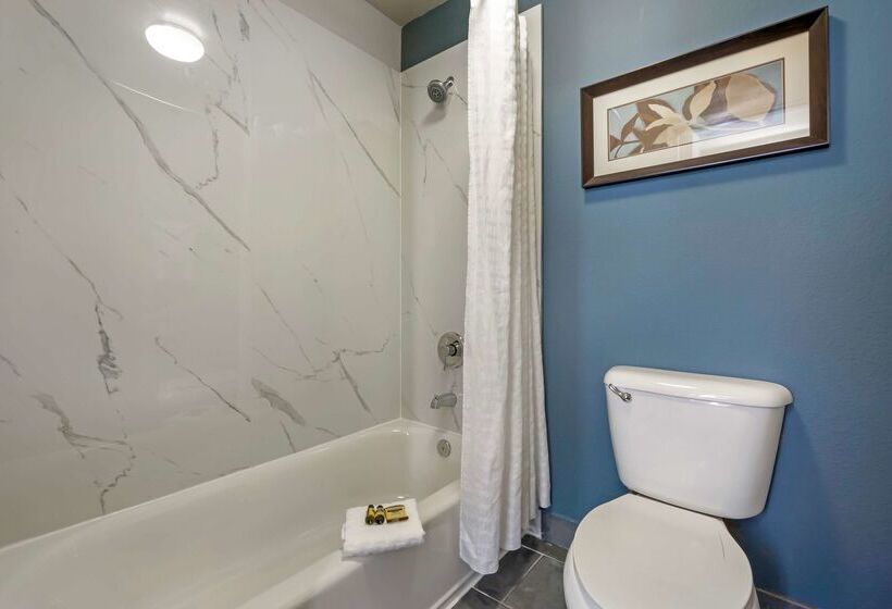 فندق Best Western Plus Mountain View Auburn Inn