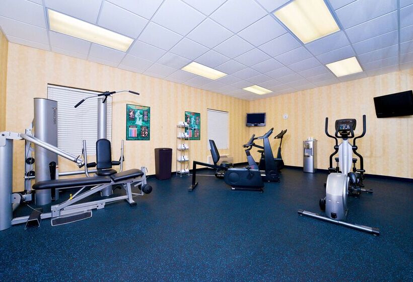 酒店 Best Western Plus Savannah Airport Inn And Suites