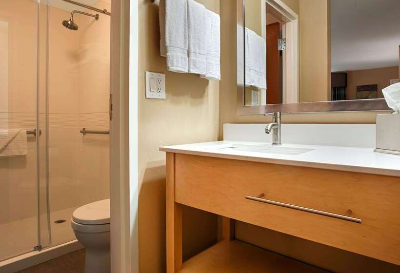 هتل Best Western Plus South Coast Inn