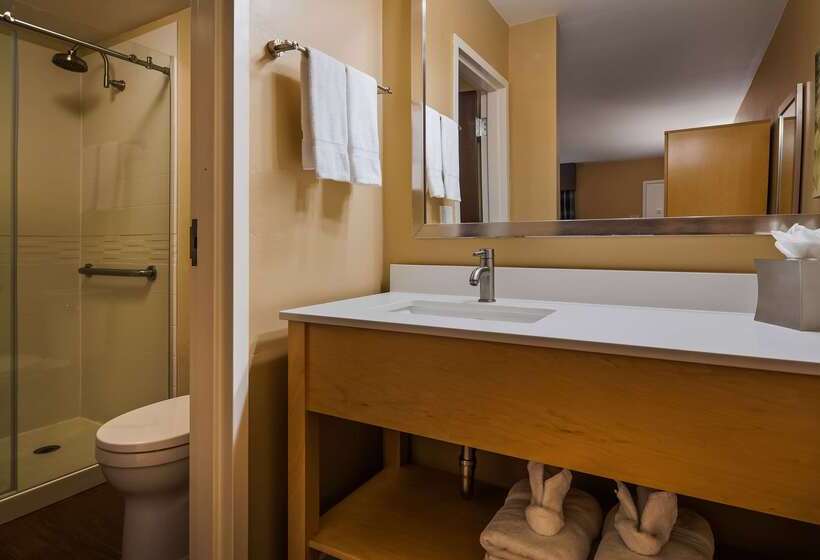هتل Best Western Plus South Coast Inn