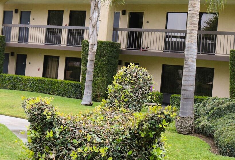 هتل Best Western Plus South Coast Inn