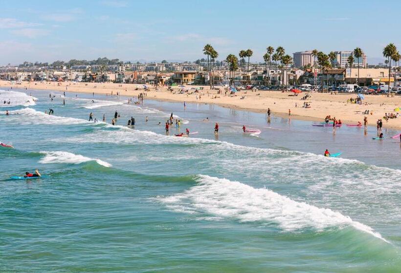 فندق Sonder Solarena