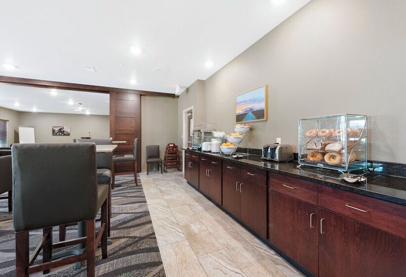 Cobblestone Hotel & Suites   Urbana