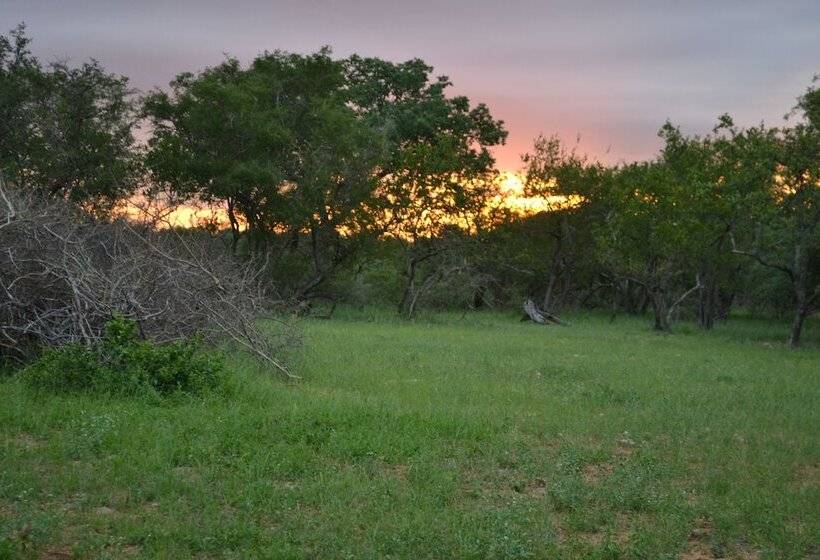 فندق Mali Mali Safari Lodge