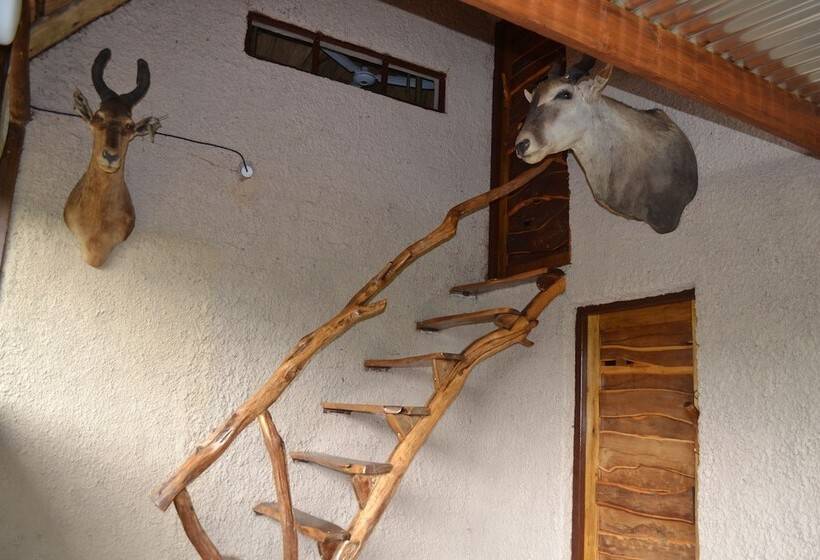 فندق Mali Mali Safari Lodge