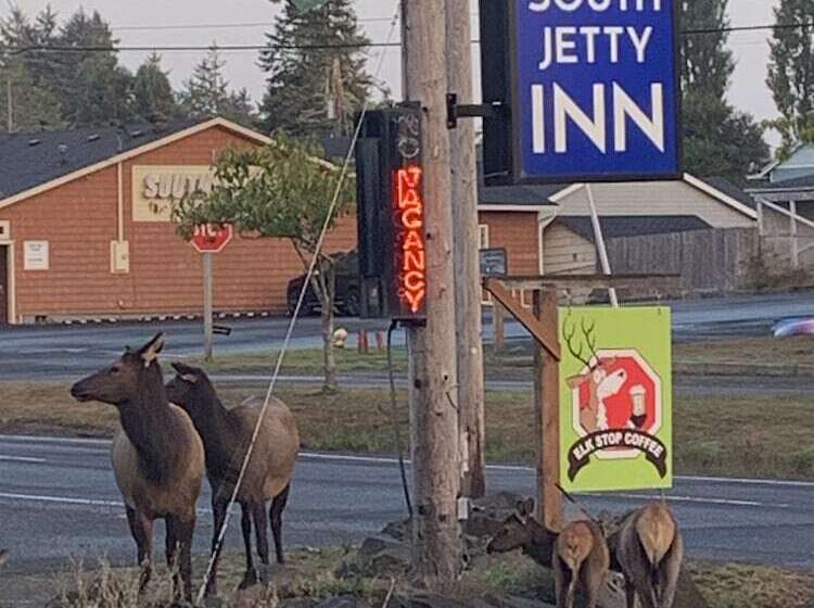 Мотель South Jetty Inn