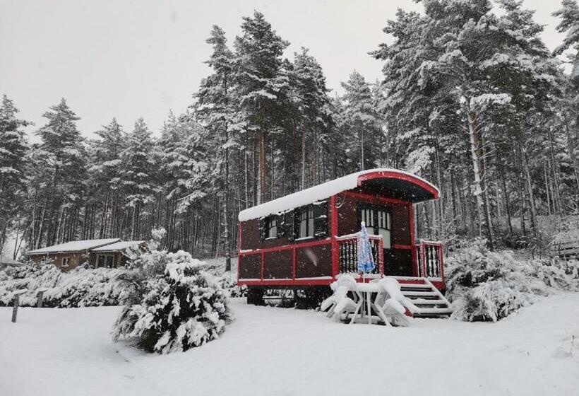 리조트 Les Chalets Du Hautforez