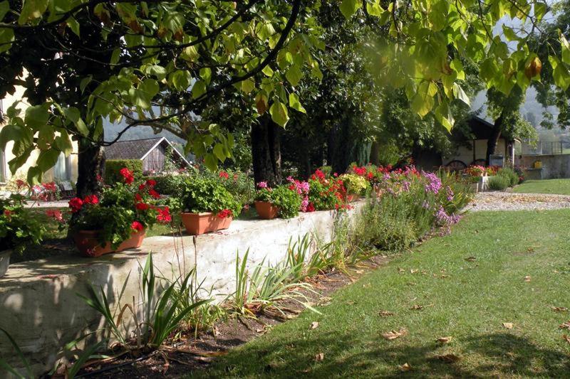 بنسيون Chateau Du Donjon