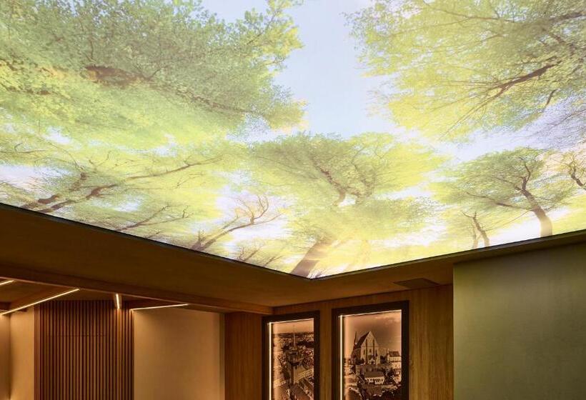 پانسیون Dům U Lázní