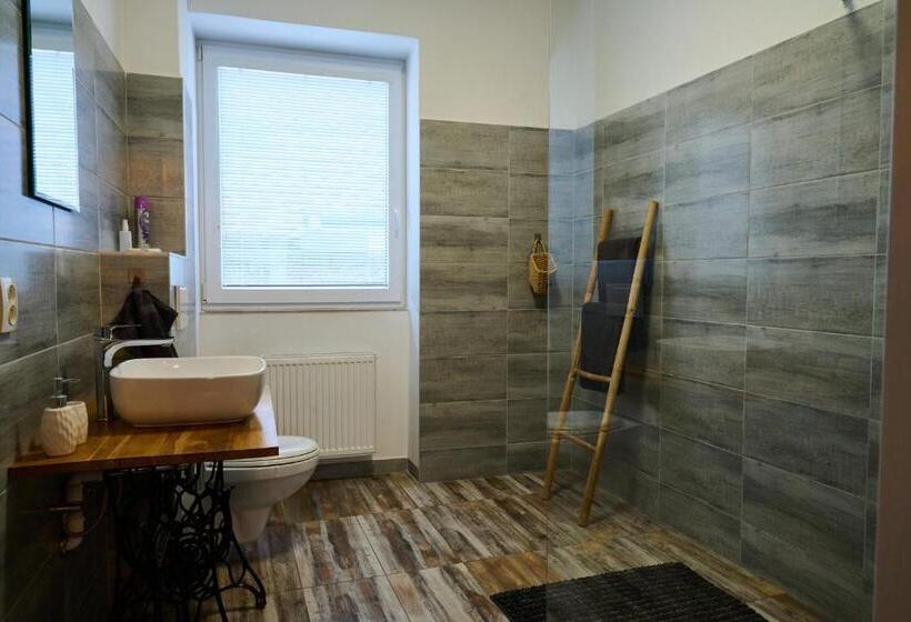 پانسیون Dům U Lázní