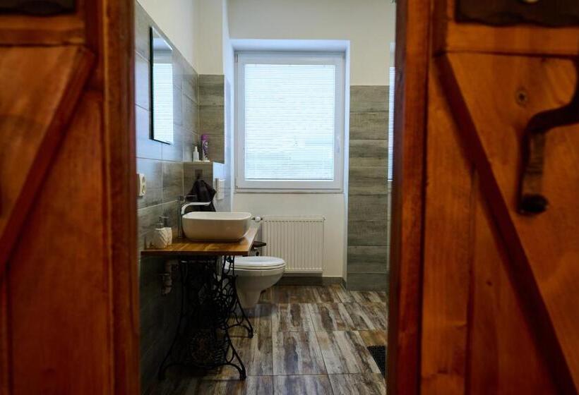 پانسیون Dům U Lázní