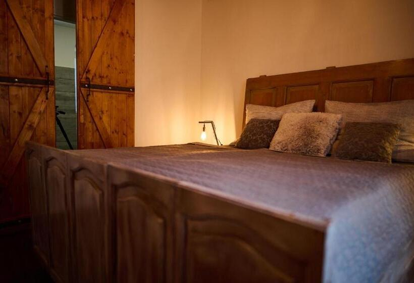 پانسیون Dům U Lázní