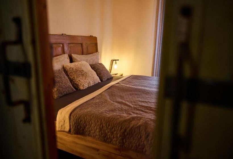 پانسیون Dům U Lázní