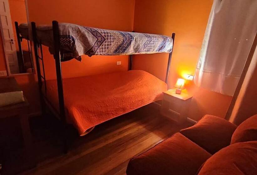 پانسیون Gatos De Campo Tiernos Y Traviesos