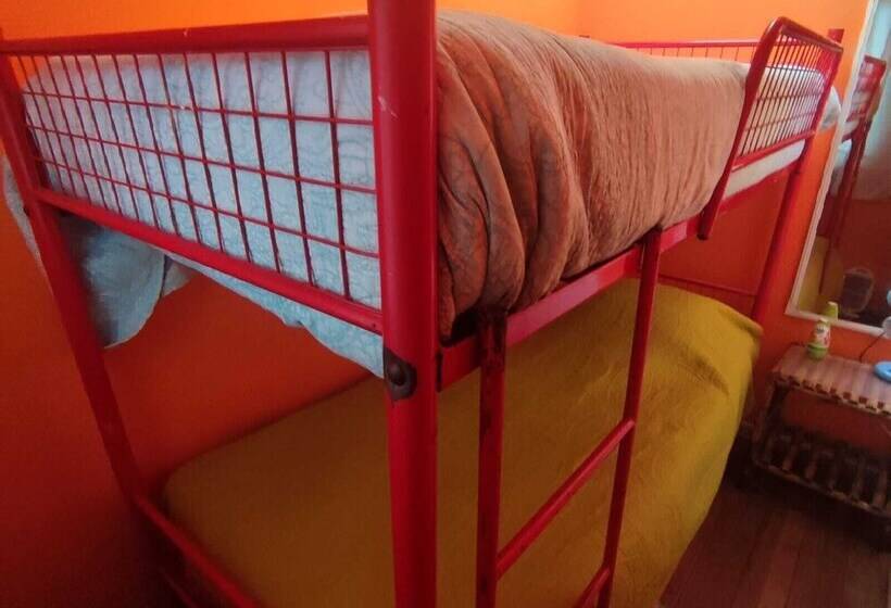 پانسیون Gatos De Campo Tiernos Y Traviesos