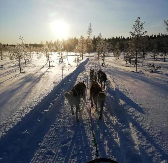 استراحتگاه Old Pine Husky Lodge