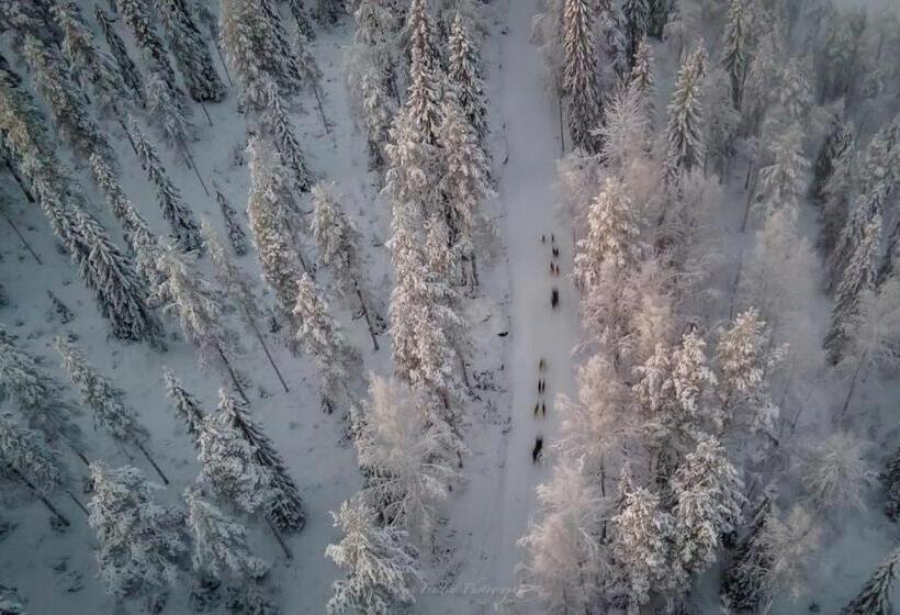 استراحتگاه Old Pine Husky Lodge