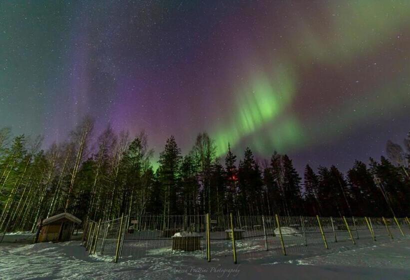 استراحتگاه Old Pine Husky Lodge
