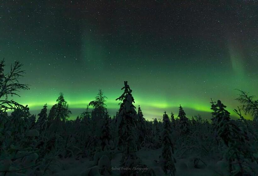 استراحتگاه Old Pine Husky Lodge