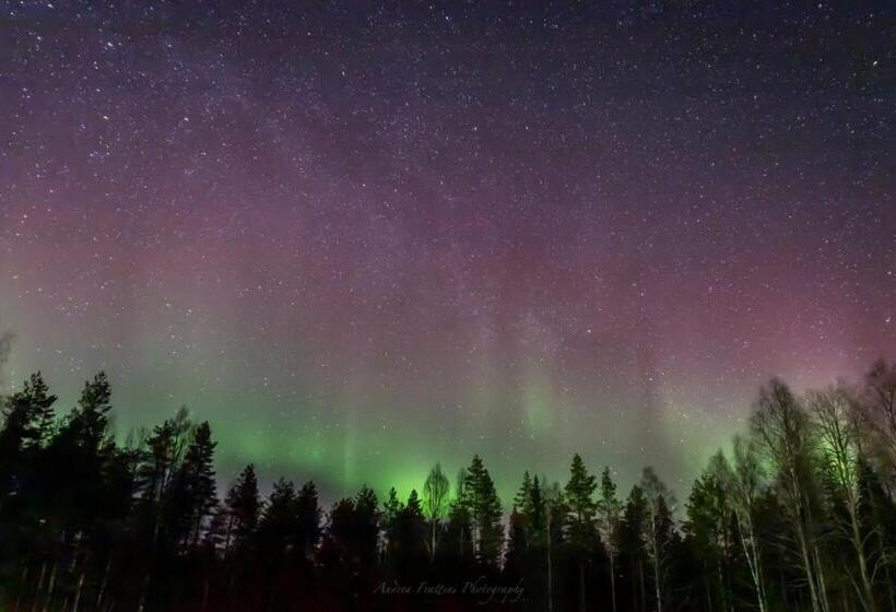 استراحتگاه Old Pine Husky Lodge