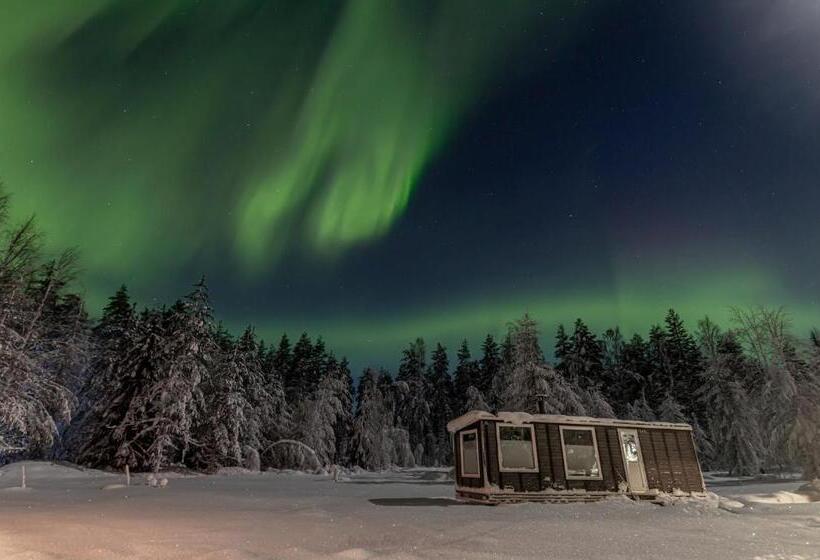 استراحتگاه Old Pine Husky Lodge