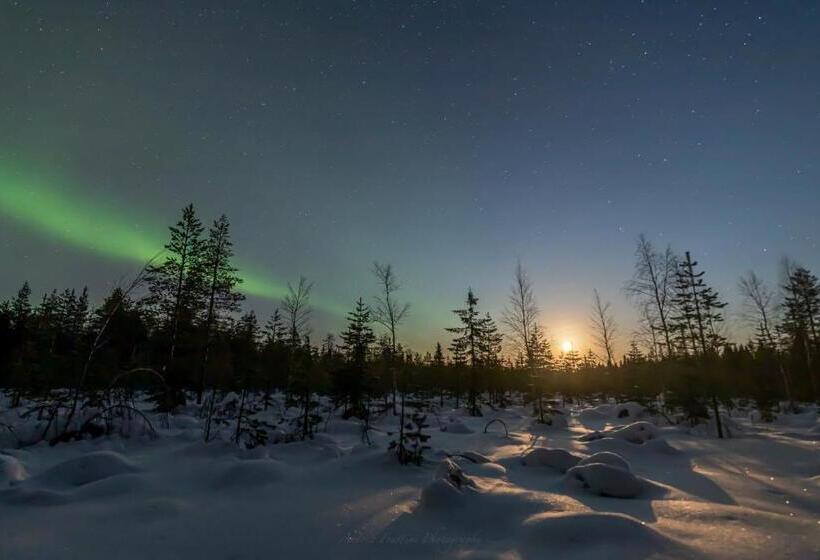 استراحتگاه Old Pine Husky Lodge