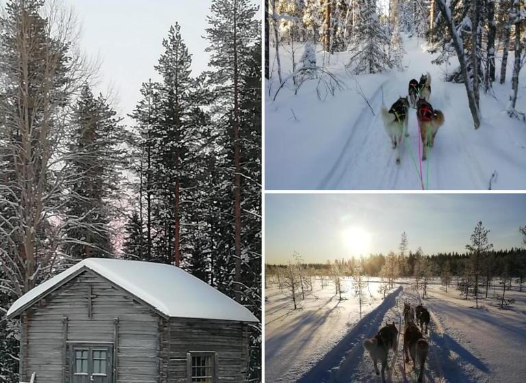 استراحتگاه Old Pine Husky Lodge
