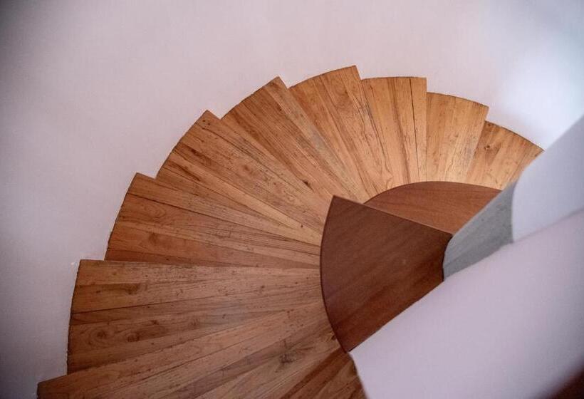 住宿加早餐  Da Zia Piera